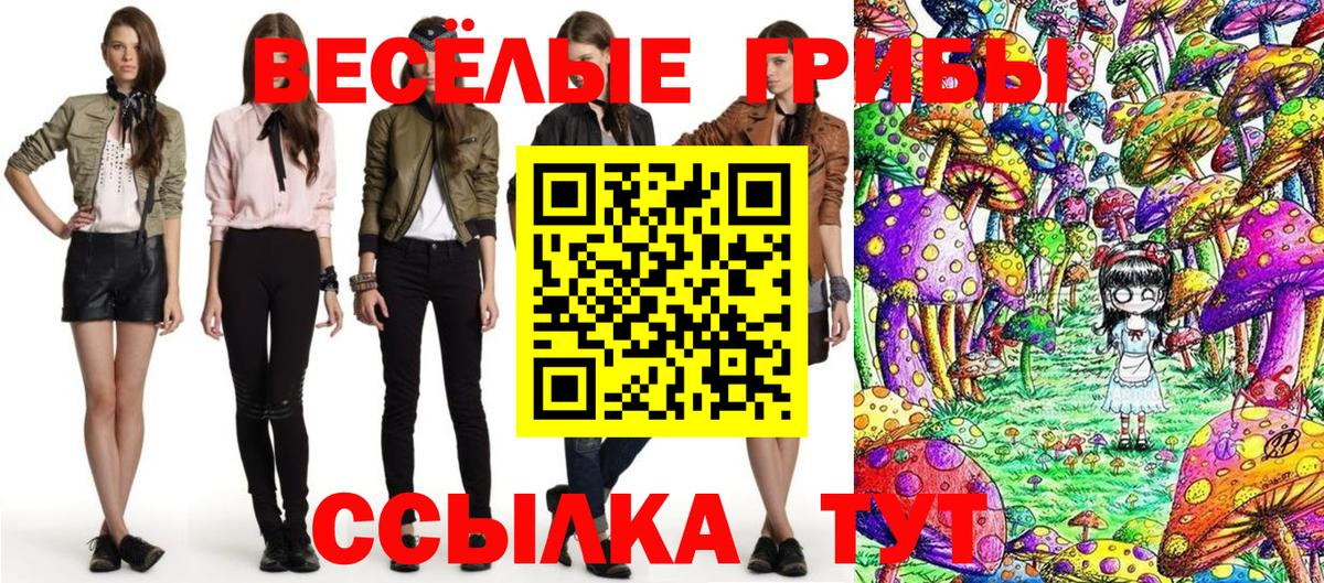 Галлюциногенные грибы Magic Shrooms  Вход с VPN  Светлоград  Псилоцибиновые грибы Psilocybine cubensis 